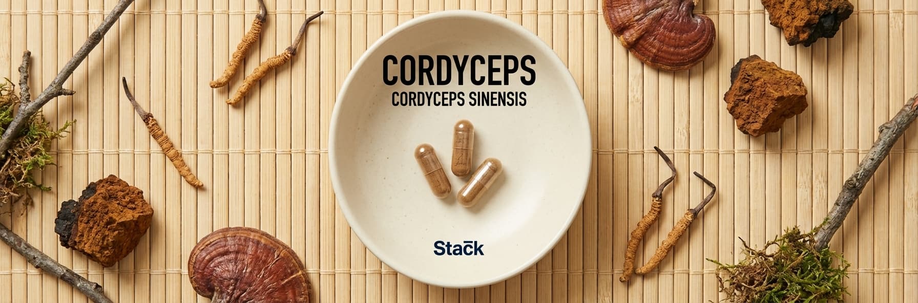 Cordyceps