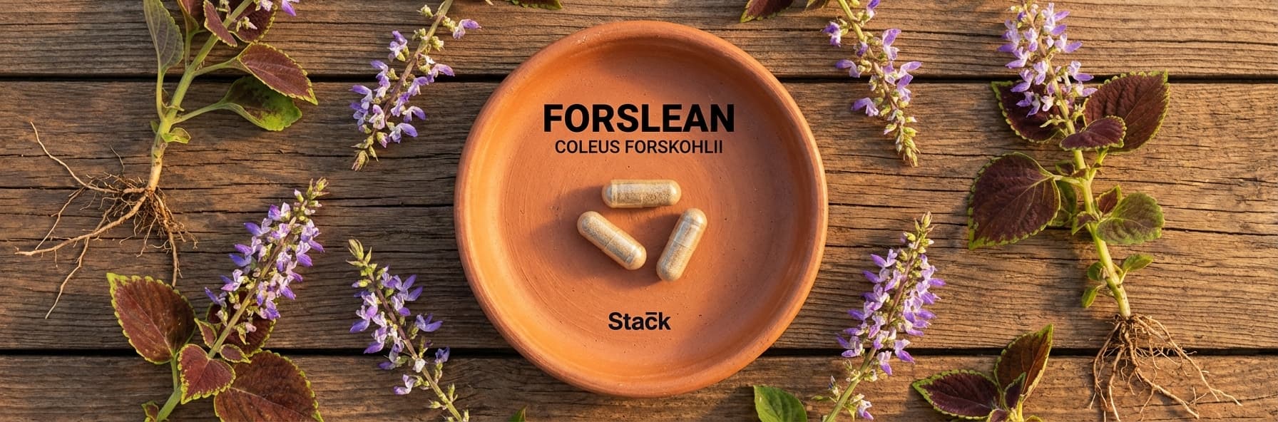 Forslean